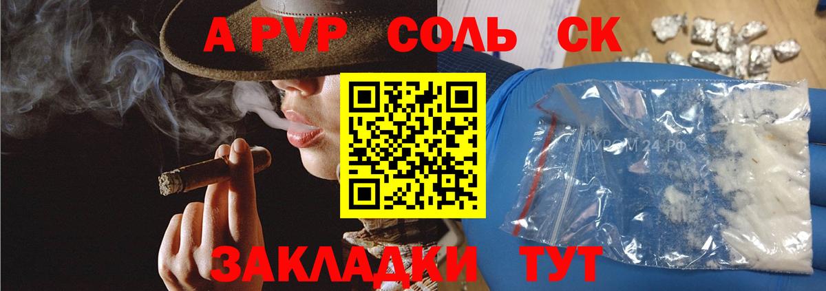 Курган  Альфа ПВП Crystall  Вход с VPN  APVP СК КРИС 