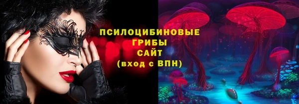 спиды Алзамай