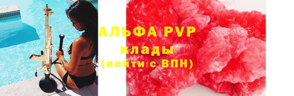 мет Алексин