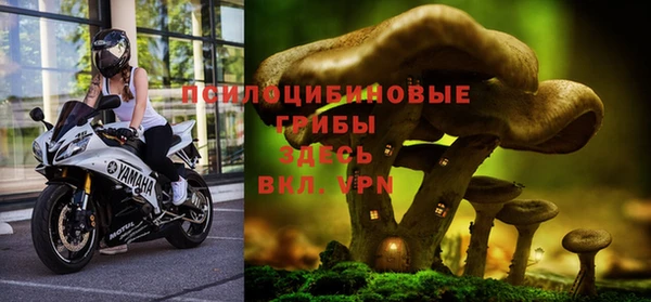 спиды Алзамай