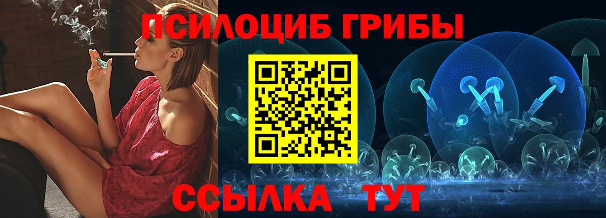 Галлюциногенные грибы прущие грибы  Вход с VPN  Курган  Галлюциногенные грибы прущие грибы 